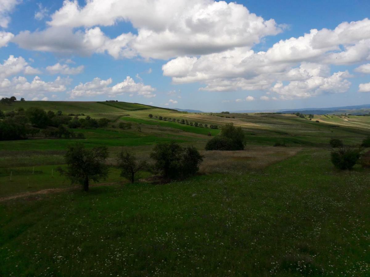 Casa Delureni Εξωτερικό φωτογραφία